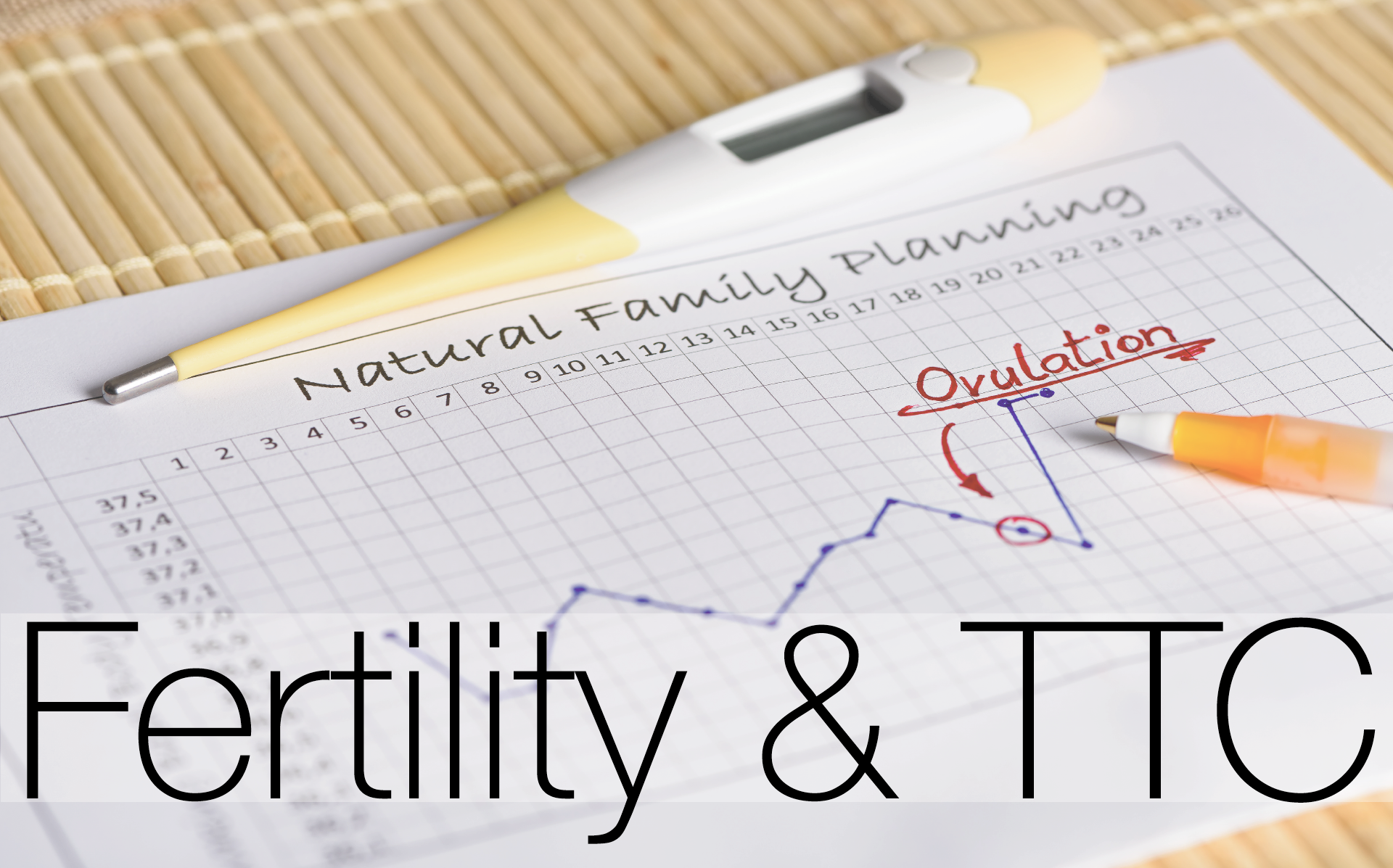 Fertility & TTC