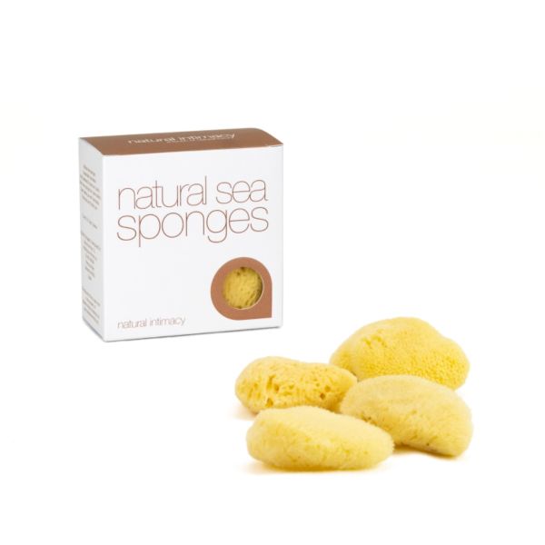 FacialCare Sponges - Natural Silk Sponges Of Mixed Sizes