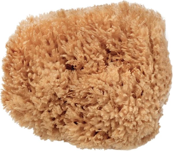BodyCare Sea Sponge