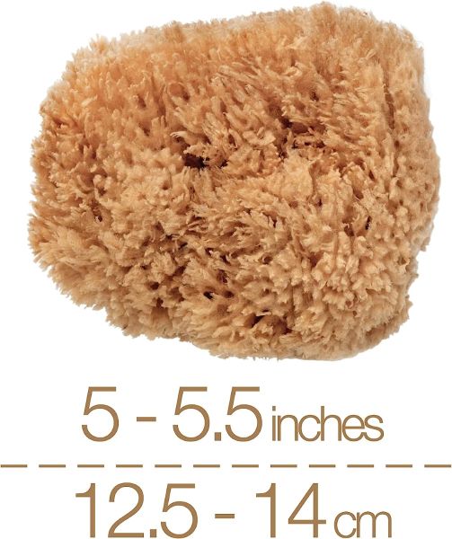 BodyCare Sea Sponge